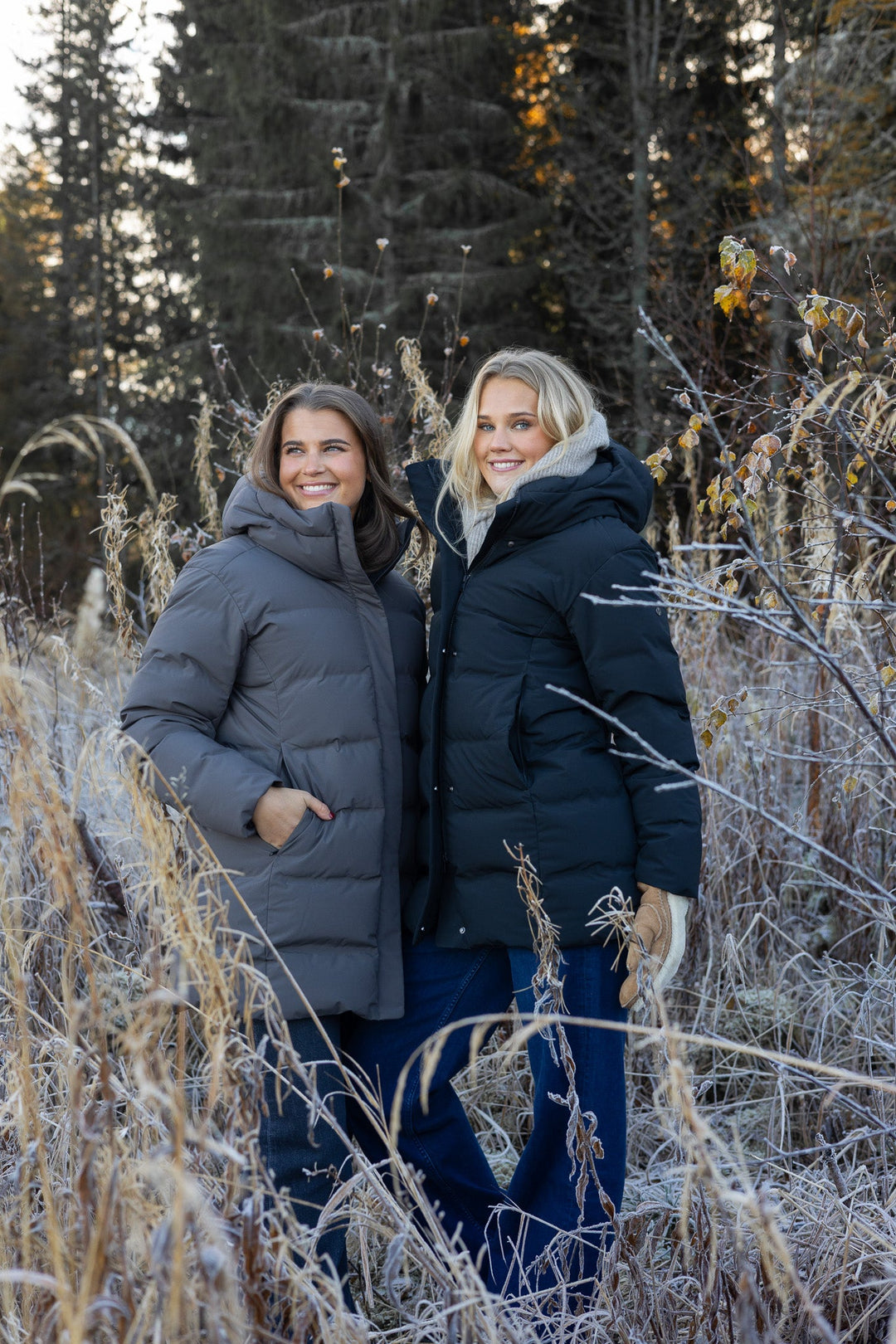 Scandinavian Edition