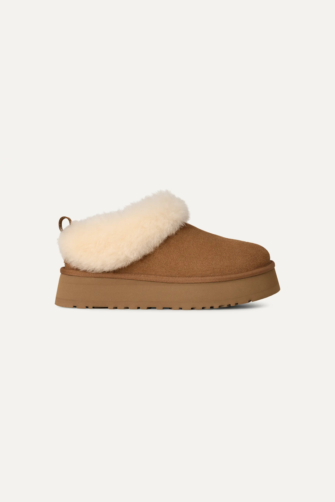 W Tazzelle