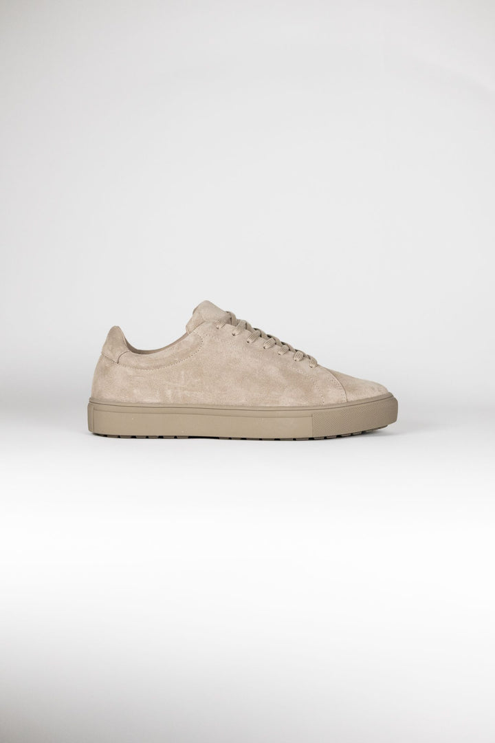 Sneaker 1 WP
