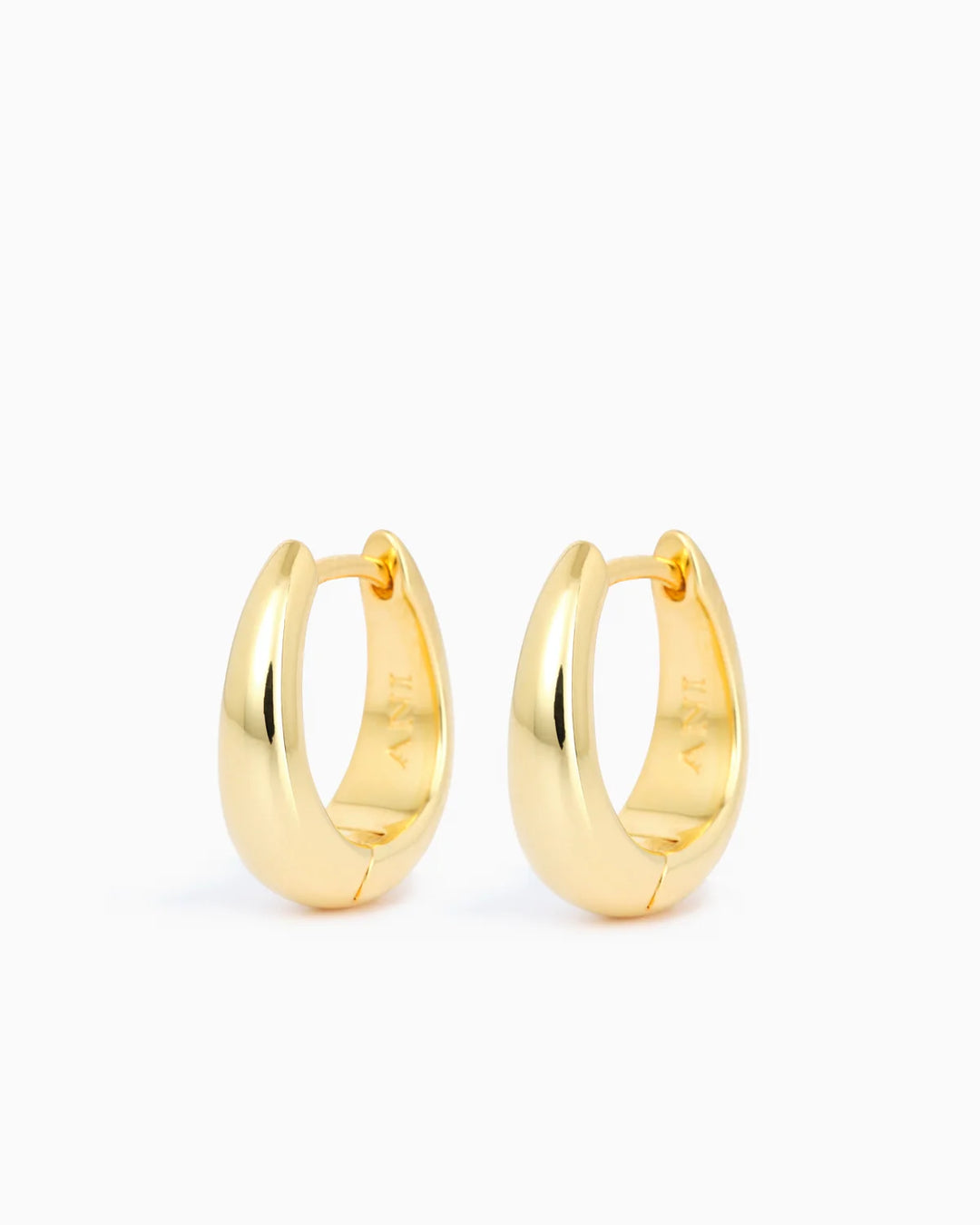 Ellipse Earrings