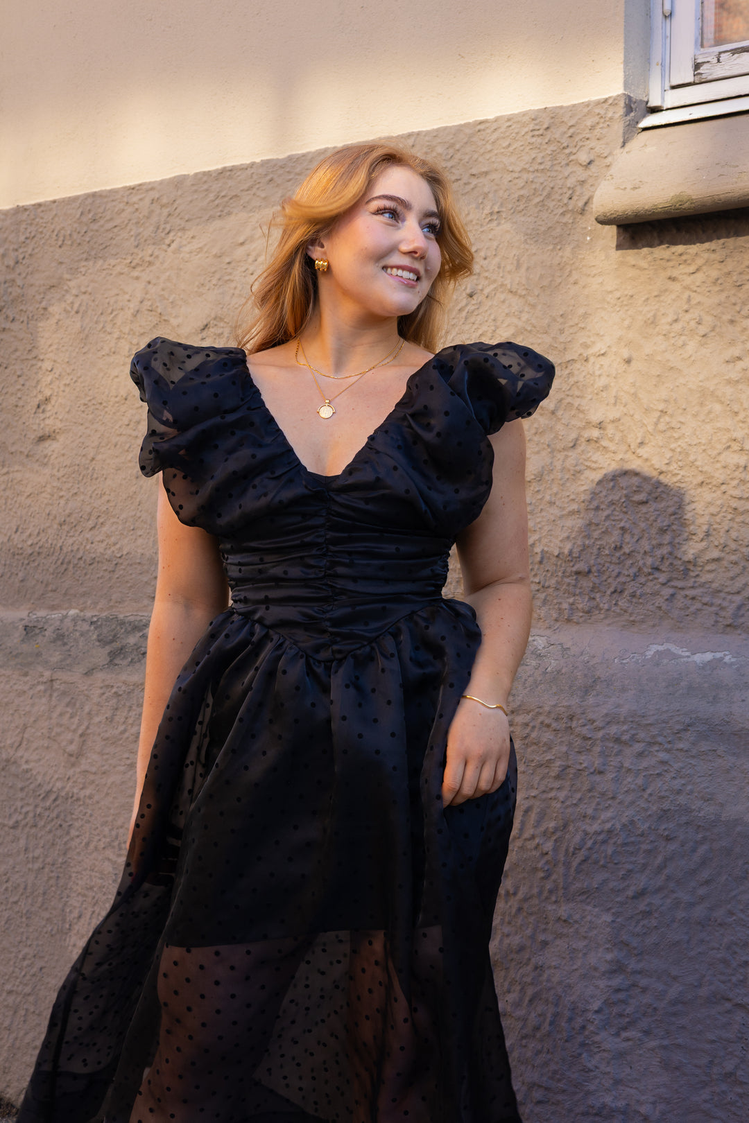 Flocked Organza Long Ruched Dress