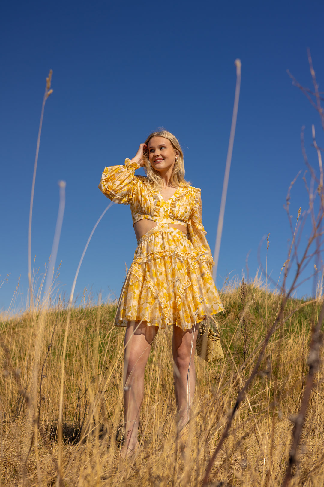 Kelly Mini Dress