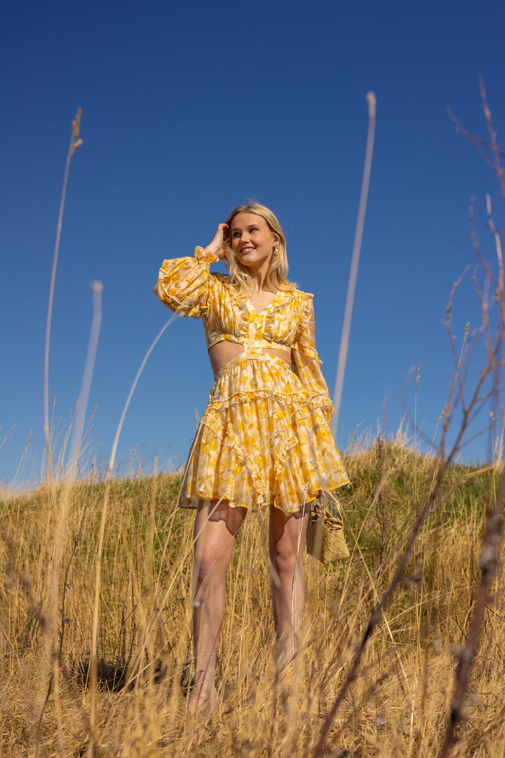 Kelly Mini Dress