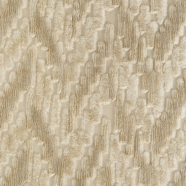 FOSSILE CUSHION 40X40*