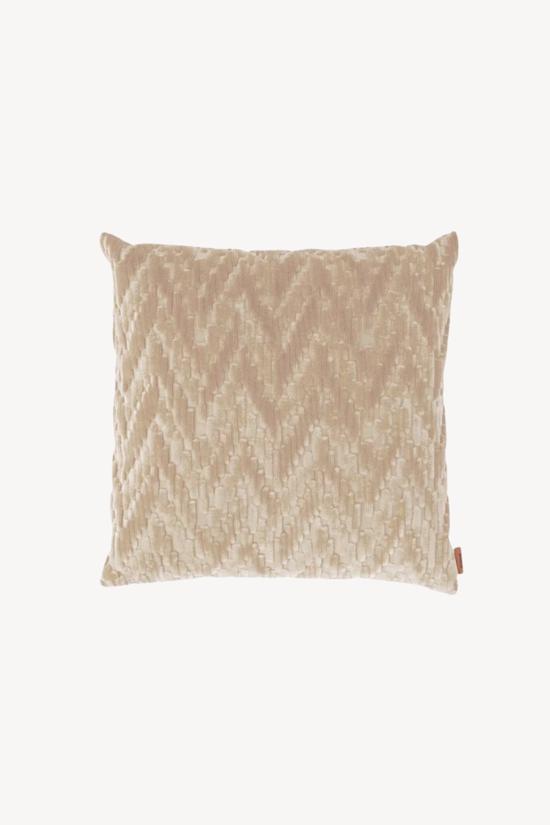 FOSSILE CUSHION 40X40*